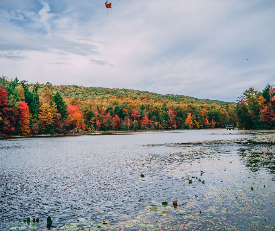 Fall Time Bass Fishing