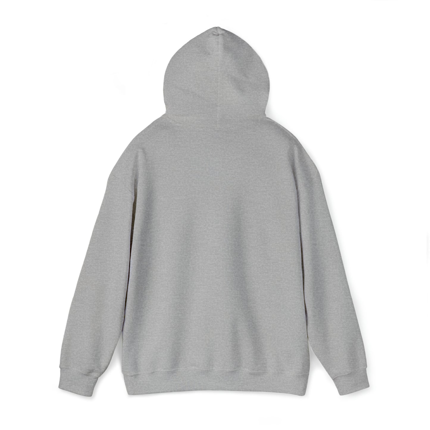 GO-TO Hoodies - Unisex Heavy Blend™ Hooded Sweatshirt